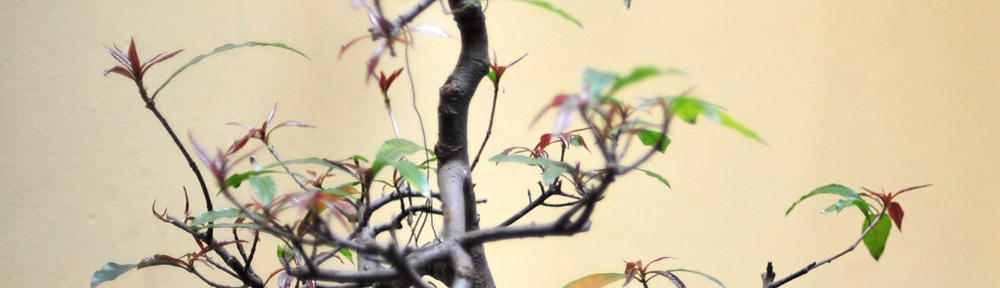 Rental Alat Berat Telp : 0822-1373-9483