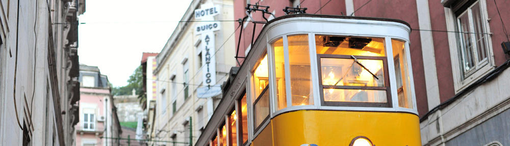 Rental Alat Berat Telp : 0822-1373-9483